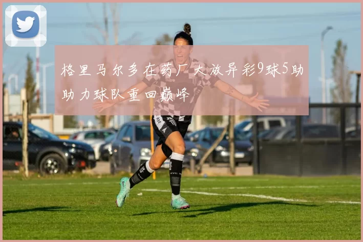 格里马尔多在药厂大放异彩9球5助助力球队重回巅峰