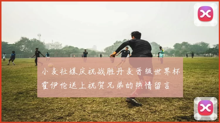 小麦社媒庆祝战胜丹麦晋级世界杯霍伊伦送上祝贺兄弟的热情留言