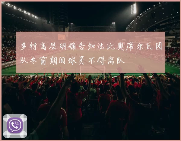 多特高层明确告知法比奥席尔瓦团队冬窗期间球员不得离队